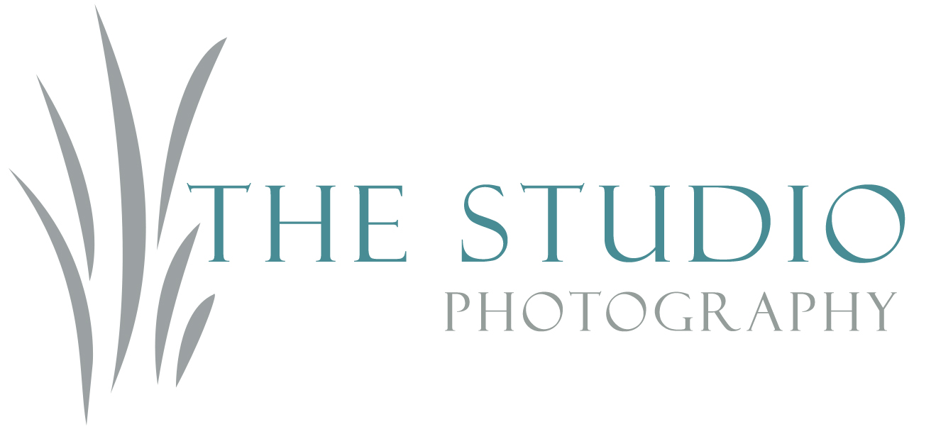 the_studio_logo